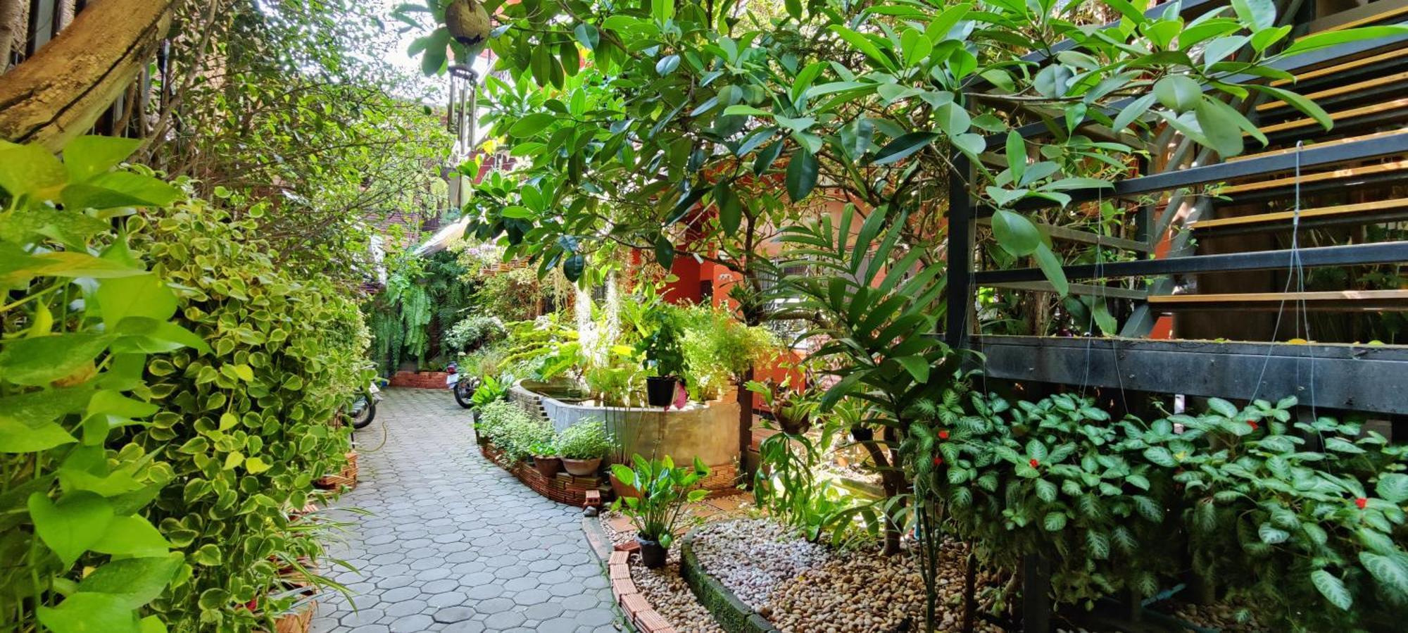 Hoh Rumah tetamu Chiang Mai